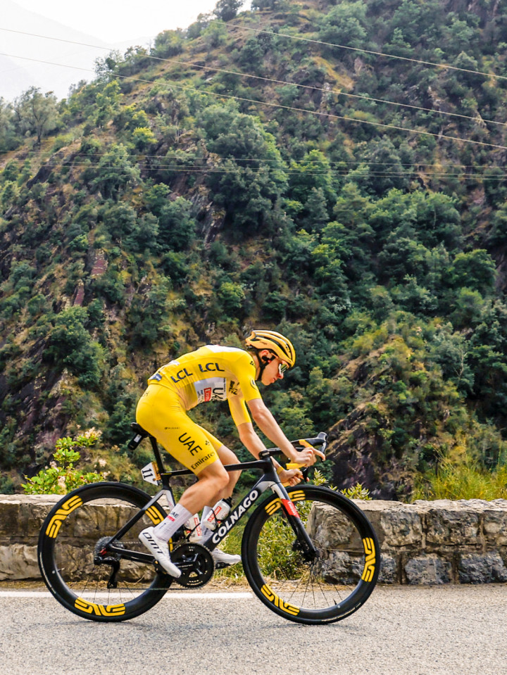 PISSEI: MAGISTRALE UAE TEAM EMIRATES 2024 BIB SHORTS
